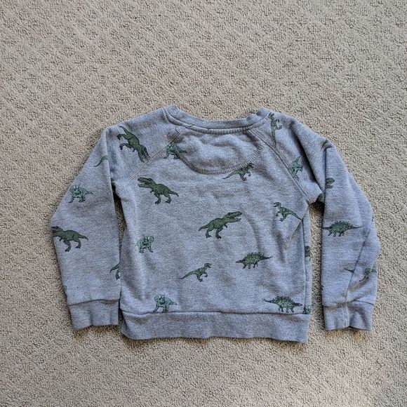 Dinosaur Sweatshirt - Picture 4 of 4